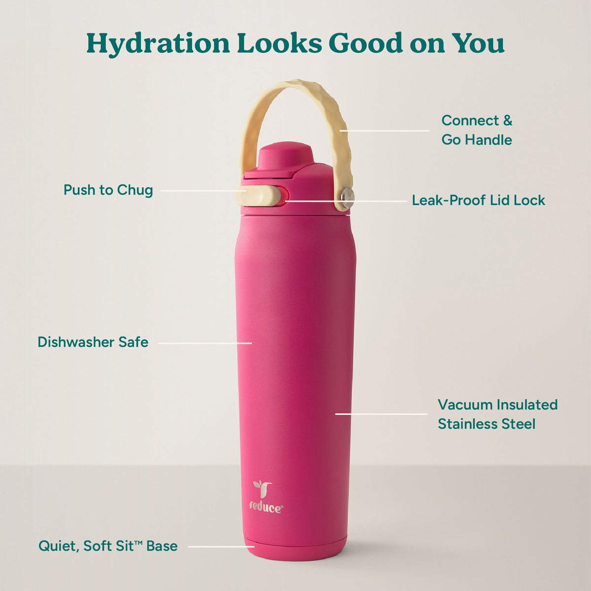 aura-26-oz-b7 Aura_26oz_DragonFruit_PDP_Infographic_2-03.jpg