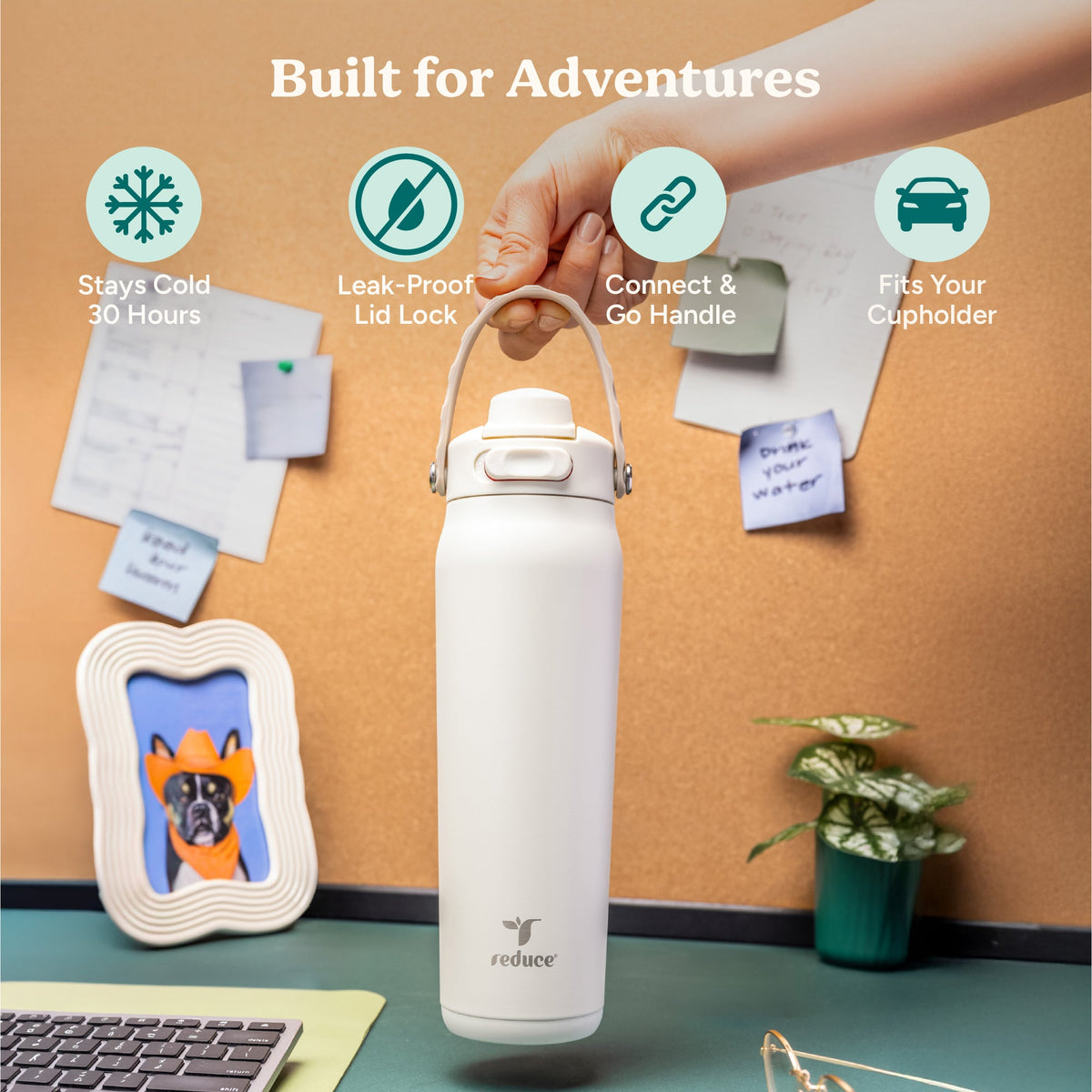 aura-26-oz-b7 Aura_26oz_Unbleached_PDP_Infographic_1.jpg
